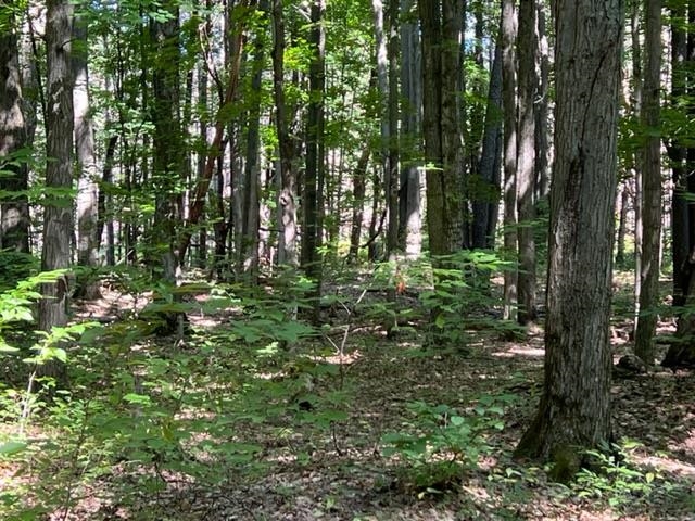 5511 North 3 Road Mesick, MI 49668 - Photo 13 of 13 1903998-13.JPG