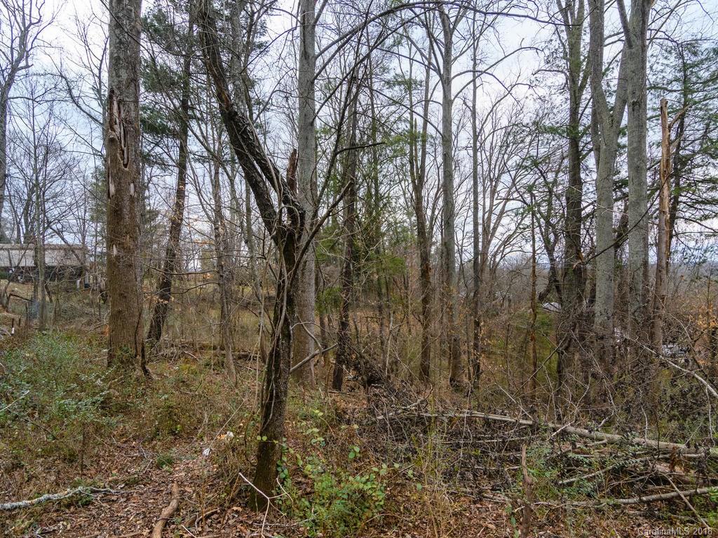 538 Deaverview Road, Unit B Asheville, NC 28806 - Photo 13 of 20 Gallery Image 13