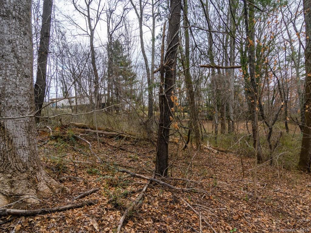 538 Deaverview Road, Unit B Asheville, NC 28806 - Photo 15 of 20 Gallery Image 15