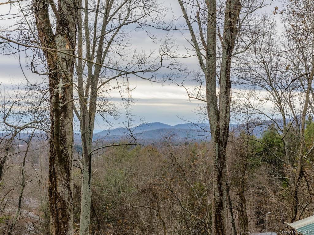 538 Deaverview Road, Unit B Asheville, NC 28806 - Photo 16 of 20 Gallery Image 16