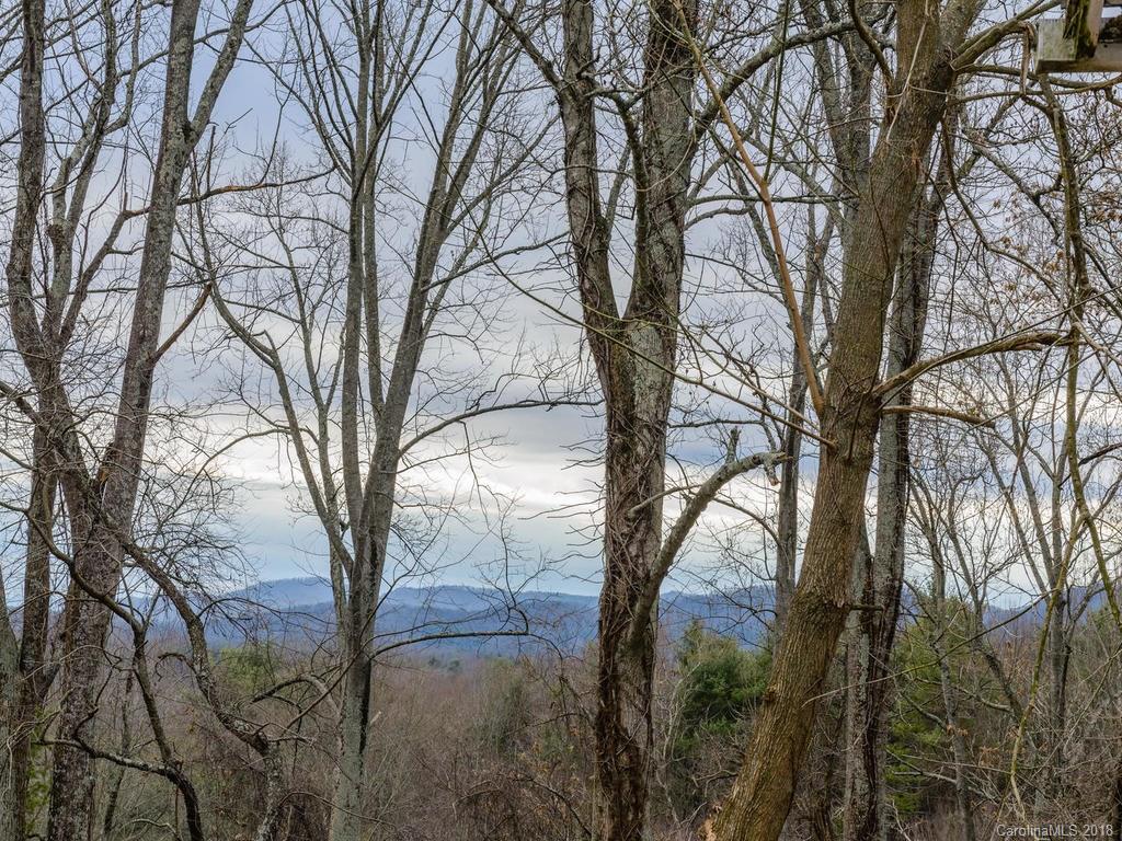 538 Deaverview Road, Unit B Asheville, NC 28806 - Photo 3 of 20 Gallery Image 3