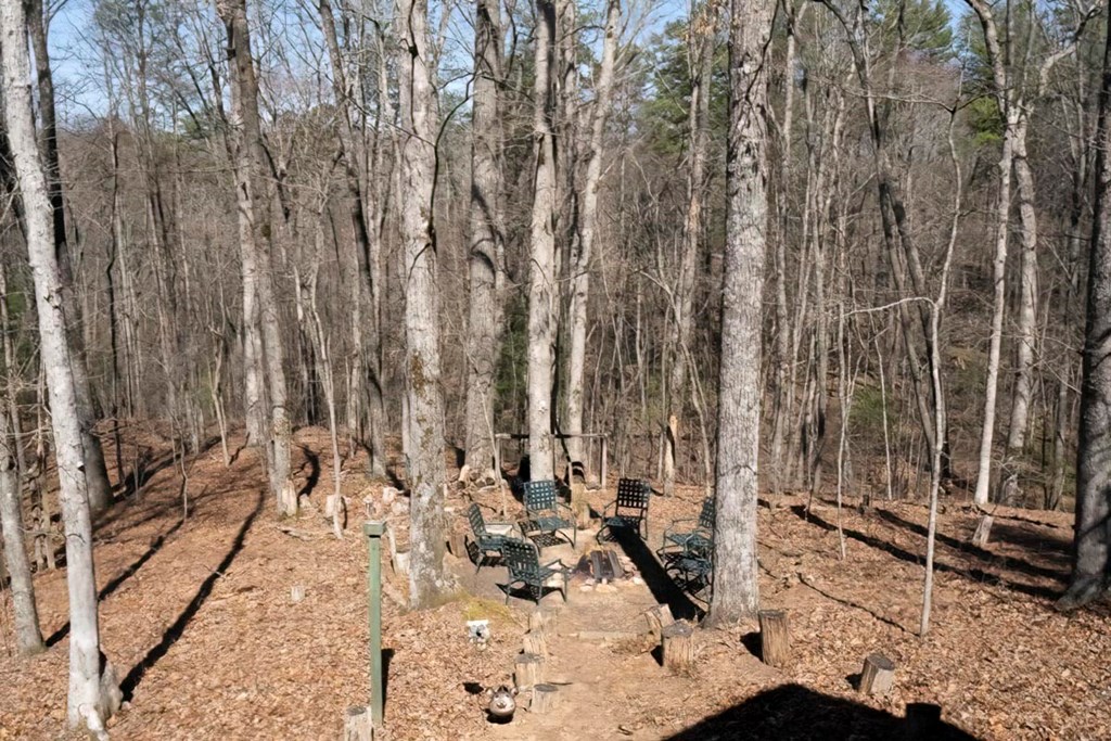 157 Sunrise Lane Blue Ridge, GA 30513 - Photo 20 of 28 Gallery Image 20