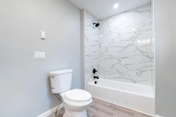 a bathroom with a toilet and a bathtub