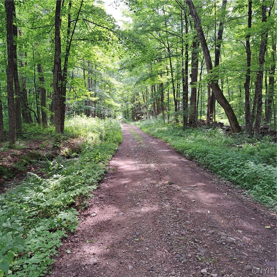 Lot #19 Lee Road Florence, NY 13316 - Photo 9 of 23