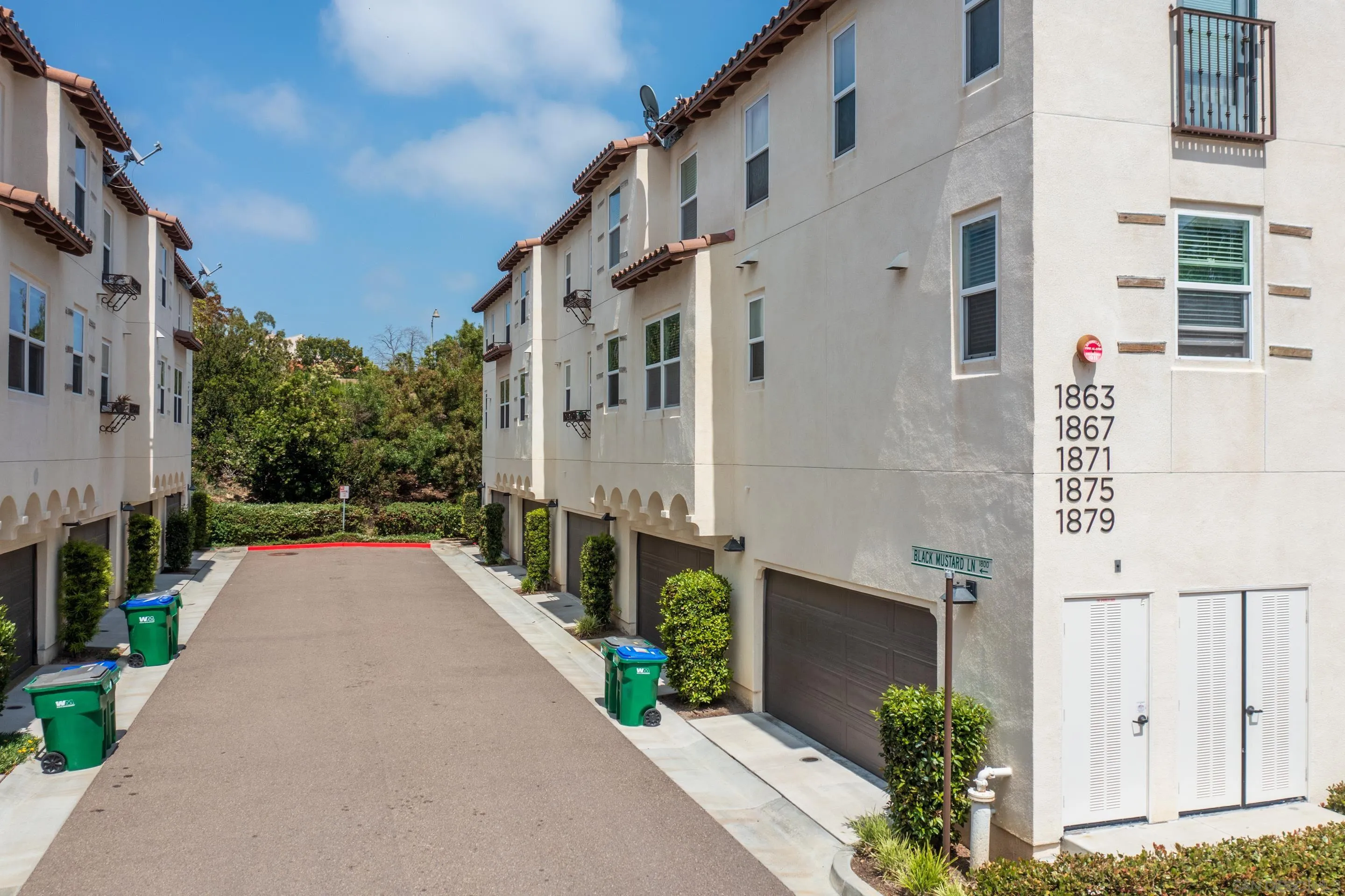 1879 Black Mustard Lane Carlsbad, CA 92011 - Photo 20 of 24 a view of a pathway with house on both side