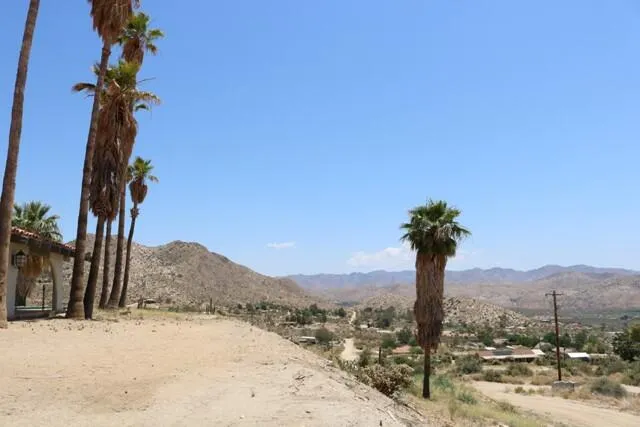 a view of a yard with a snow on the road