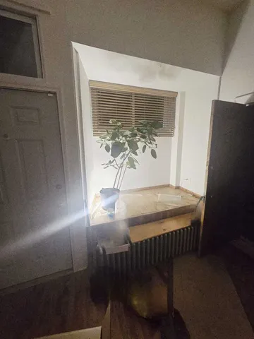 $1,250 | 1014 East Prairie Avenue, Unit 1FE, Des Plaines, IL 60016