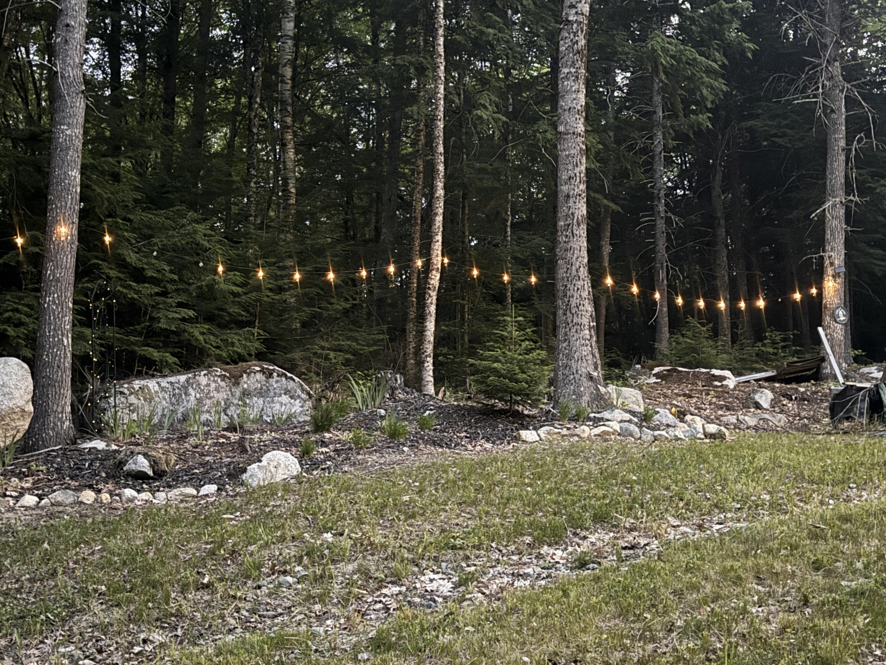 1750 Houston Road Lincoln, ME 04457 - Photo 22 of 31 fairy lights