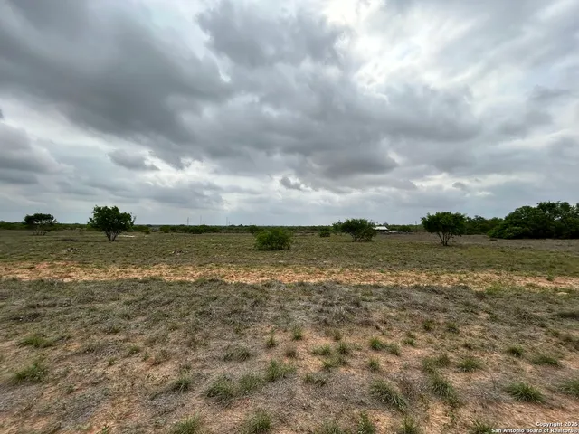 a view of a lake from a yard