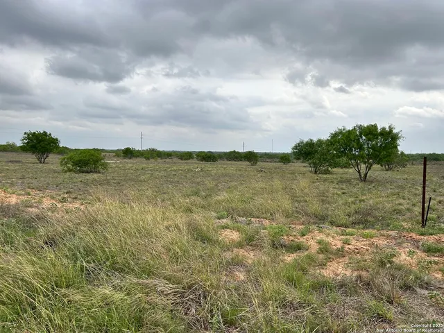 a view of a field with large trees