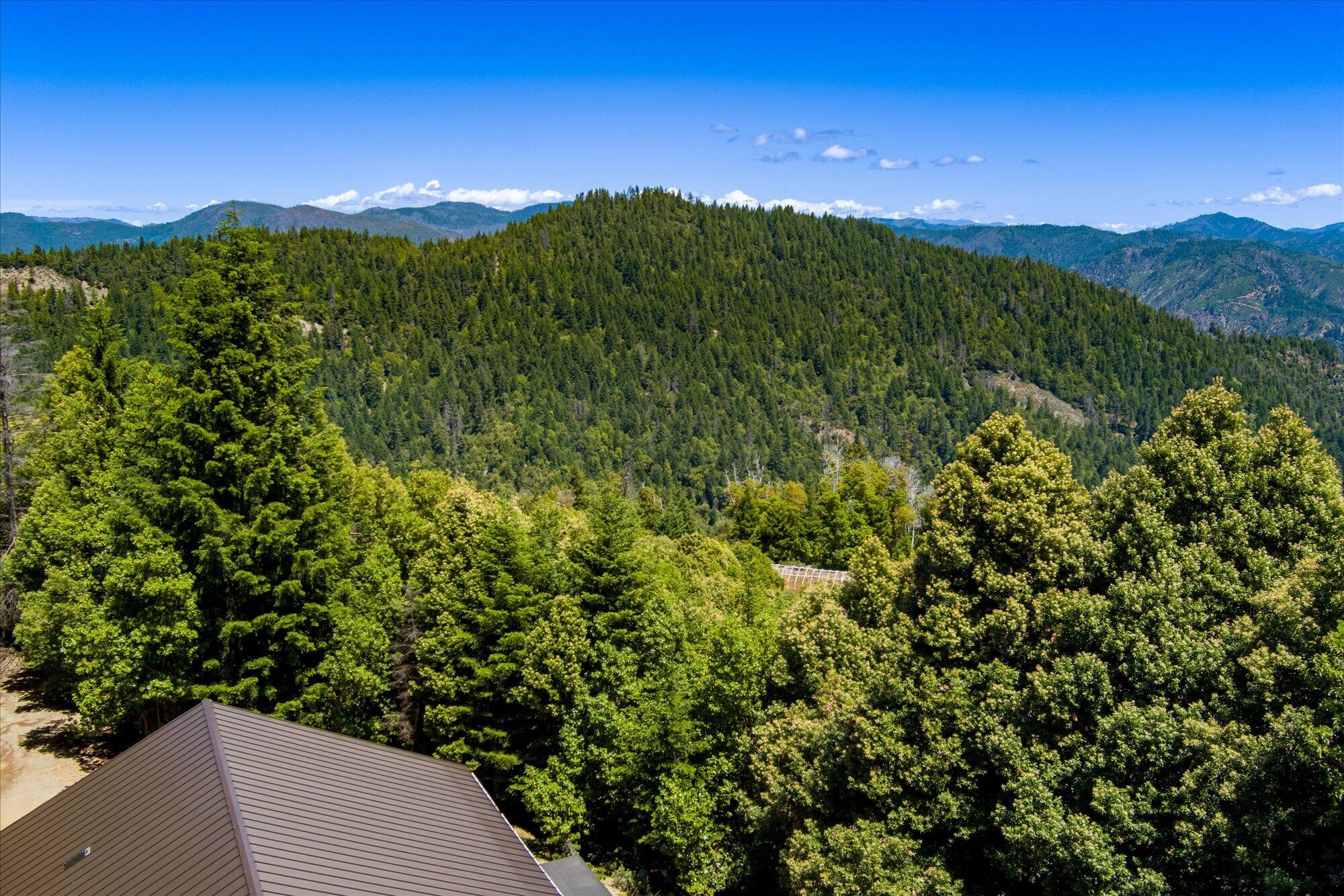 0 Forest Rte 4N20 Road Hayfork, CA 96041 - Photo 21 of 22