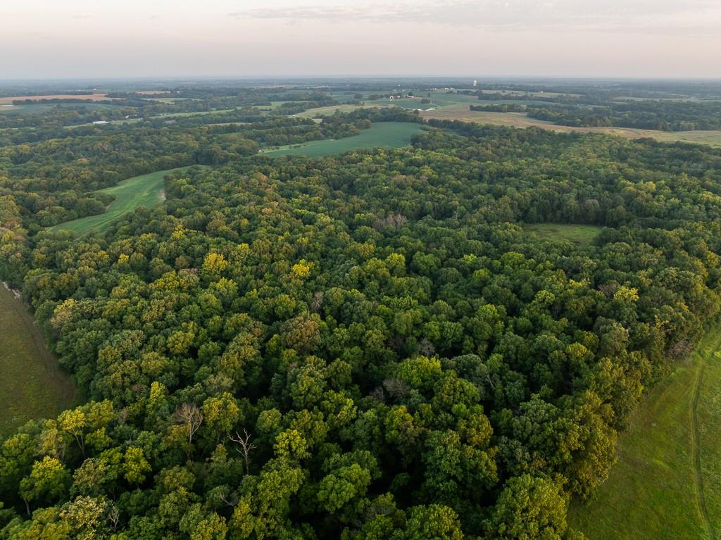 0 West Graham Road Columbia, MO 65202 - Photo 11 of 63