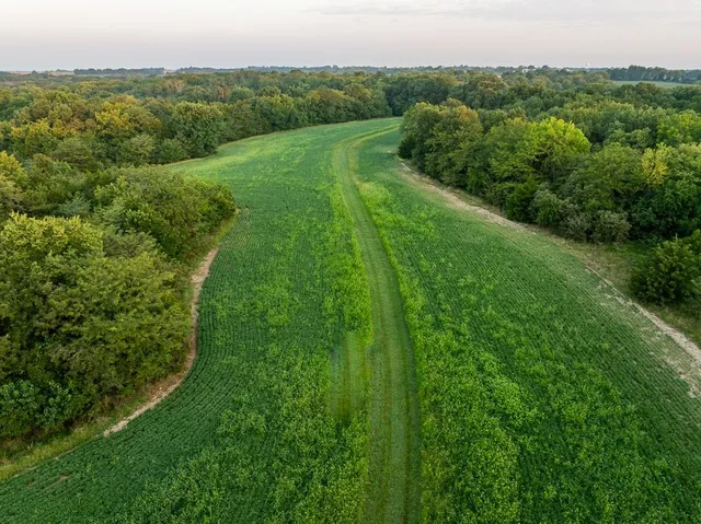 $761,250 | 0 West Graham Road, Columbia, MO 65202