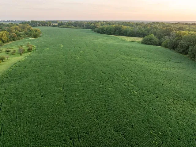 $761,250 | 0 West Graham Road, Columbia, MO 65202