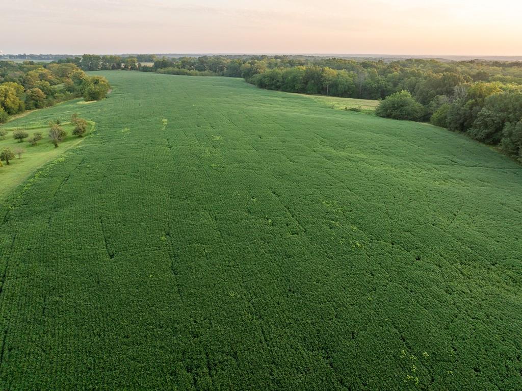 0 West Graham Road Columbia, MO 65202 - Photo 17 of 63