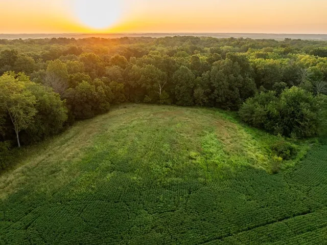 $761,250 | 0 West Graham Road, Columbia, MO 65202