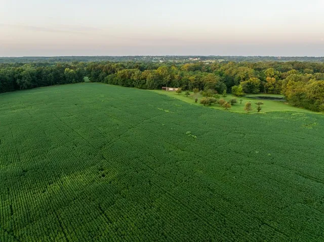 $761,250 | 0 West Graham Road, Columbia, MO 65202