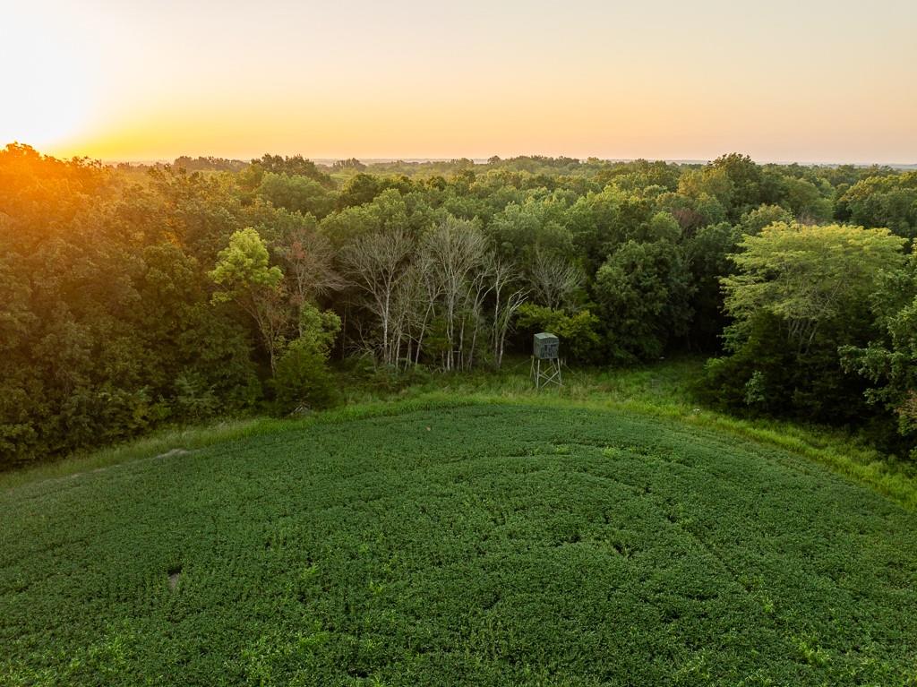 0 West Graham Road Columbia, MO 65202 - Photo 24 of 63