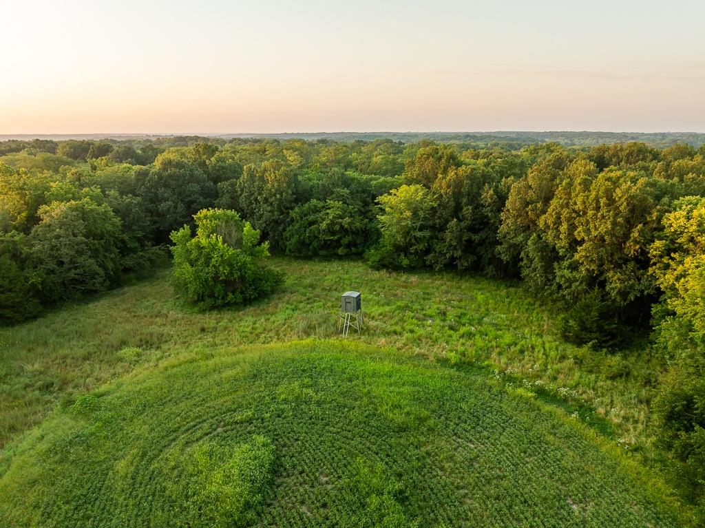 0 West Graham Road Columbia, MO 65202 - Photo 26 of 63