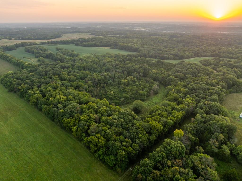 0 West Graham Road Columbia, MO 65202 - Photo 28 of 63