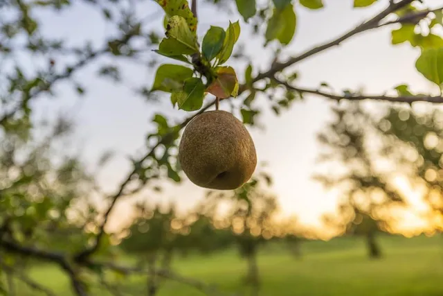 $761,250 | 0 West Graham Road, Columbia, MO 65202