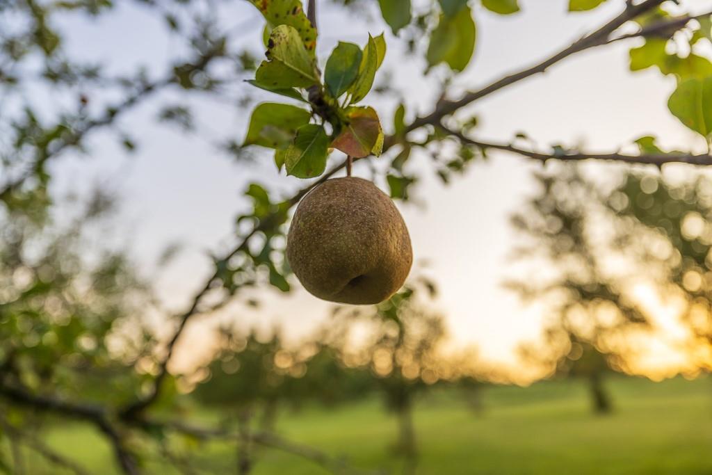 0 West Graham Road Columbia, MO 65202 - Photo 34 of 63