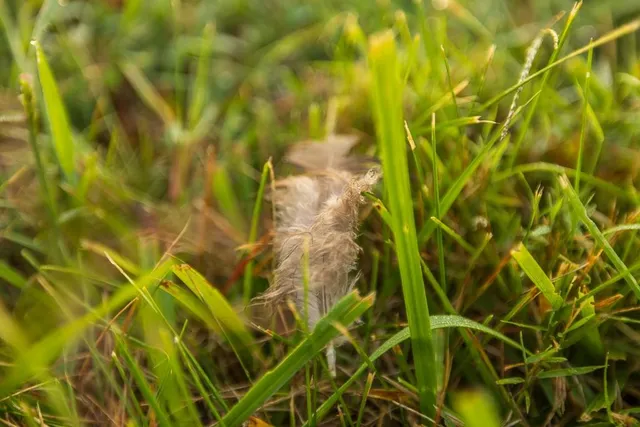 $761,250 | 0 West Graham Road, Columbia, MO 65202