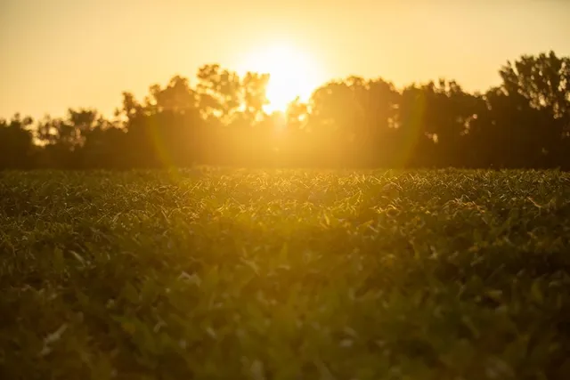 $761,250 | 0 West Graham Road, Columbia, MO 65202