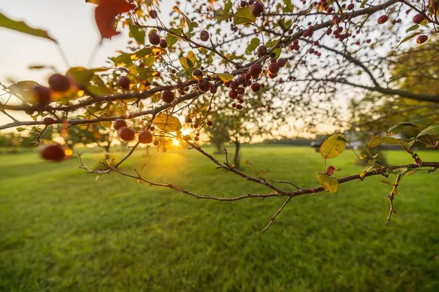 $761,250 | 0 West Graham Road, Columbia, MO 65202