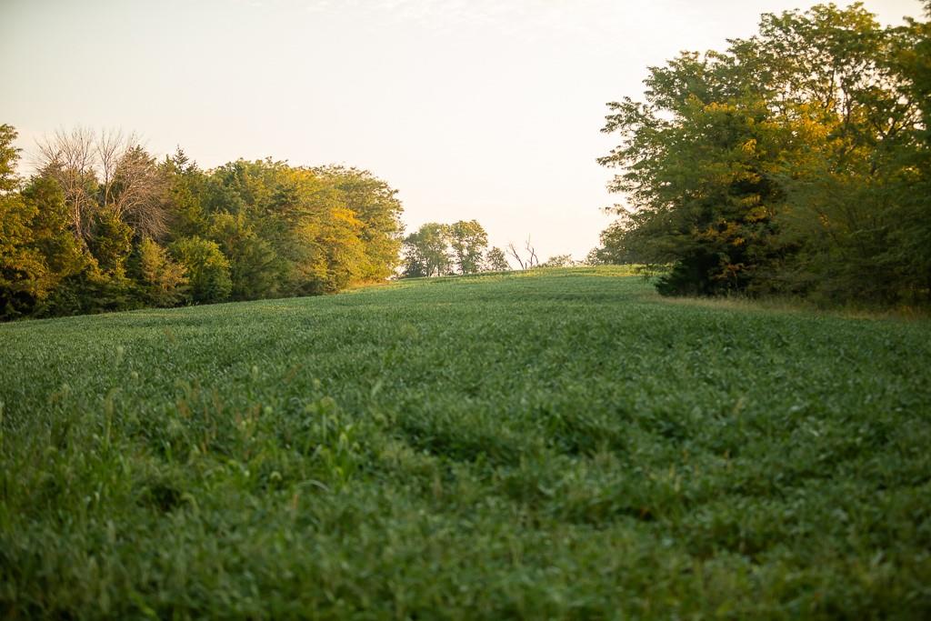 0 West Graham Road Columbia, MO 65202 - Photo 39 of 63