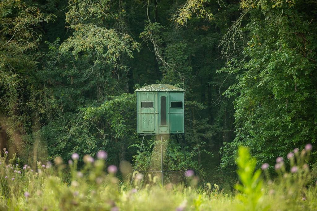 0 West Graham Road Columbia, MO 65202 - Photo 43 of 63