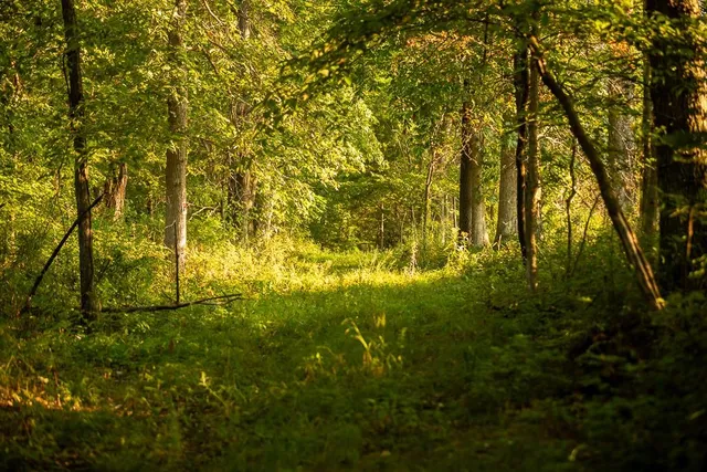 $761,250 | 0 West Graham Road, Columbia, MO 65202