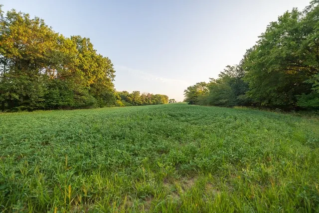 $761,250 | 0 West Graham Road, Columbia, MO 65202