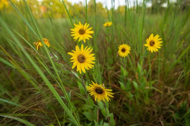 $761,250 | 0 West Graham Road, Columbia, MO 65202