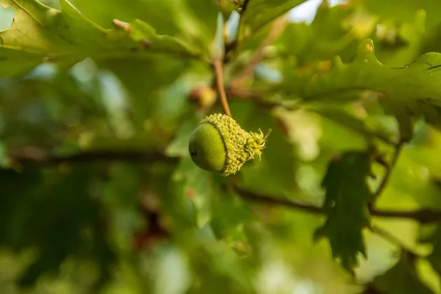 $761,250 | 0 West Graham Road, Columbia, MO 65202