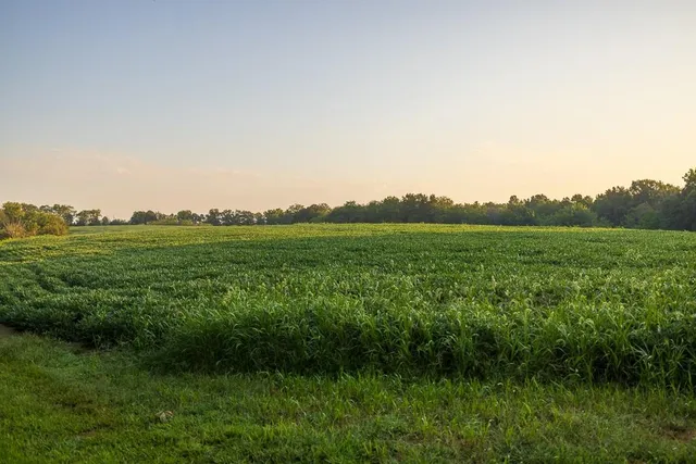 $761,250 | 0 West Graham Road, Columbia, MO 65202