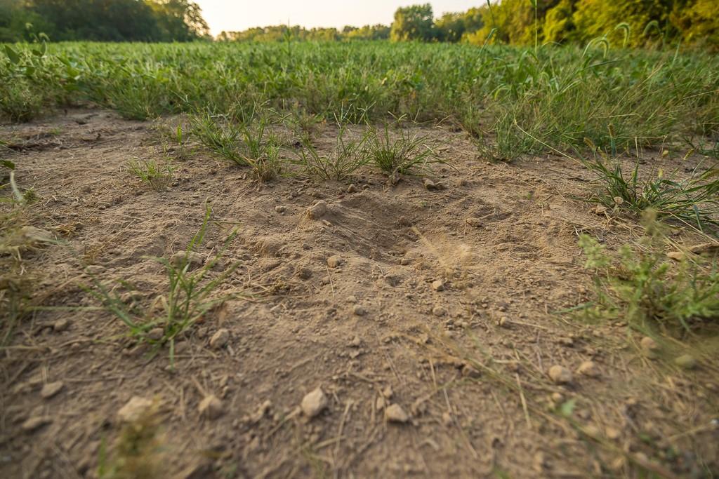 0 West Graham Road Columbia, MO 65202 - Photo 54 of 63