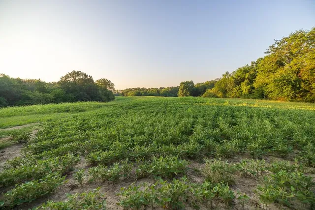 $761,250 | 0 West Graham Road, Columbia, MO 65202