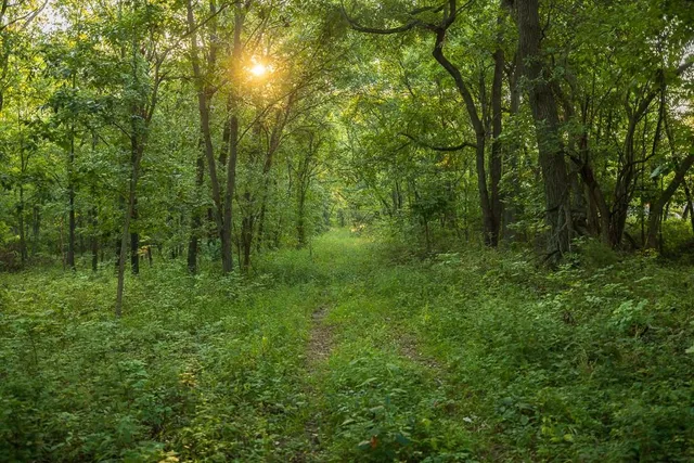 $761,250 | 0 West Graham Road, Columbia, MO 65202