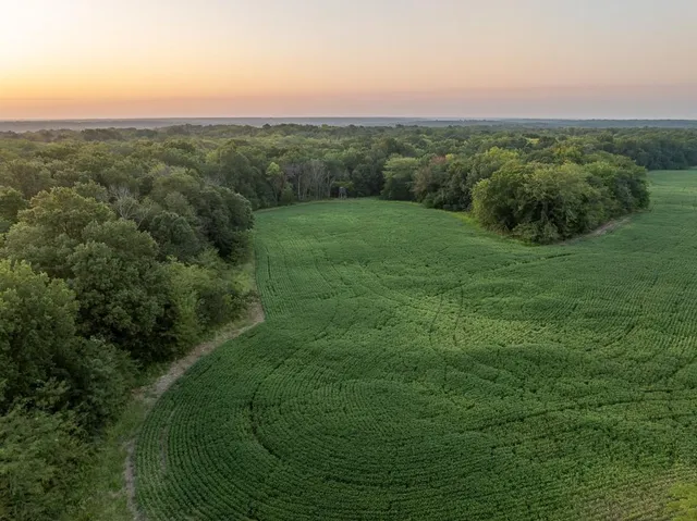 $761,250 | 0 West Graham Road, Columbia, MO 65202