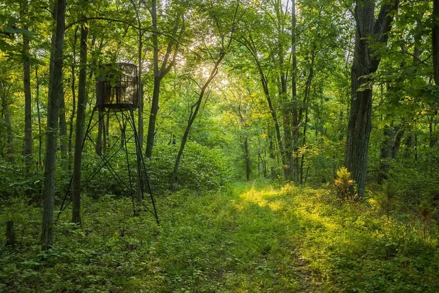 $761,250 | 0 West Graham Road, Columbia, MO 65202