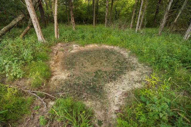 $761,250 | 0 West Graham Road, Columbia, MO 65202