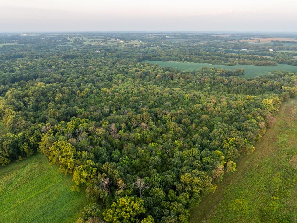 0 West Graham Road Columbia, MO 65202 - Photo 8 of 63