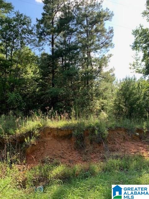 0 Chinnabee Road, Unit PARCEL 6 Munford, AL 36268 - Photo 2 of 4