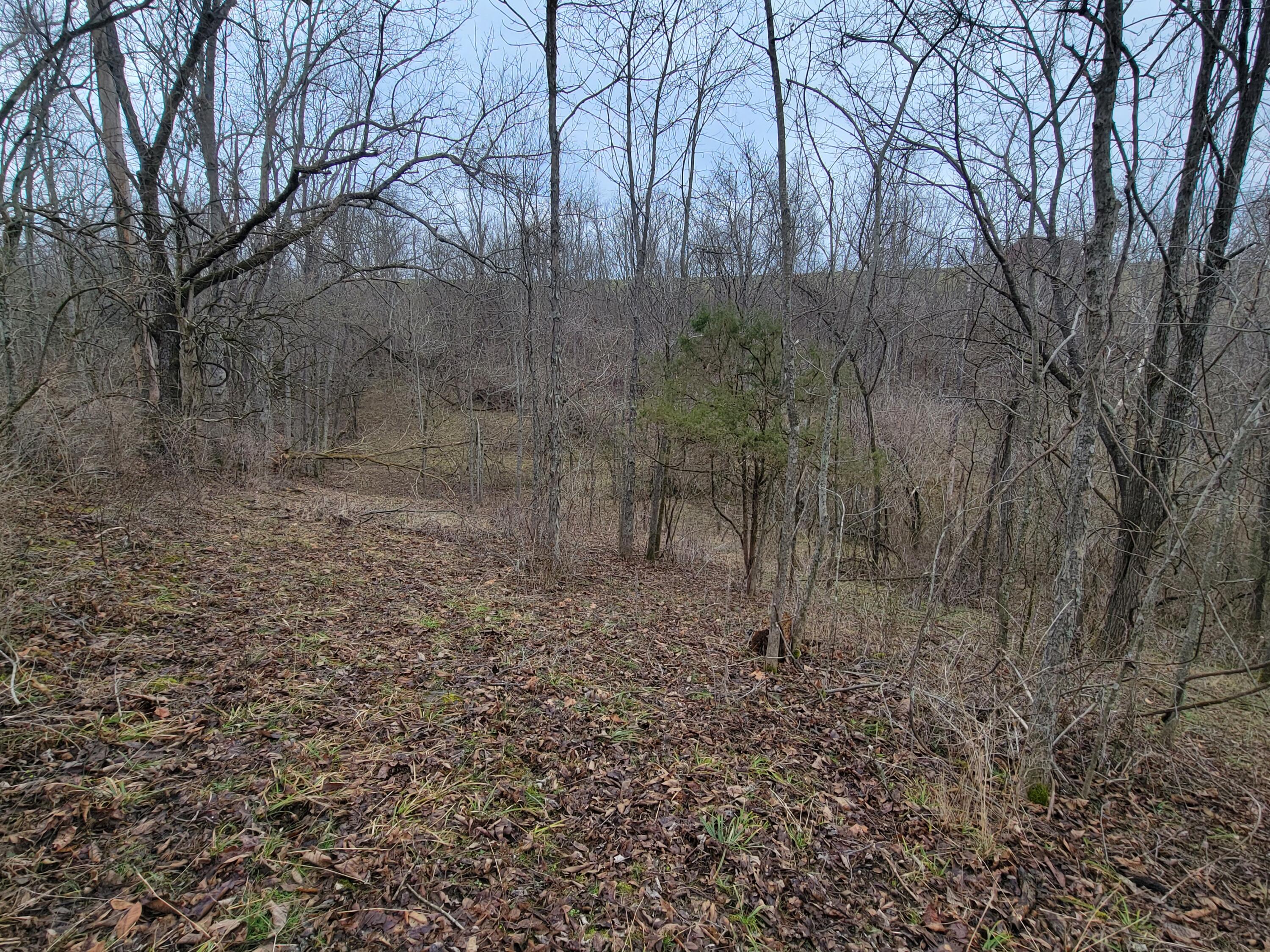 0 Convict Road Sharpsburg, KY 40374 - Photo 10 of 17 1000029231