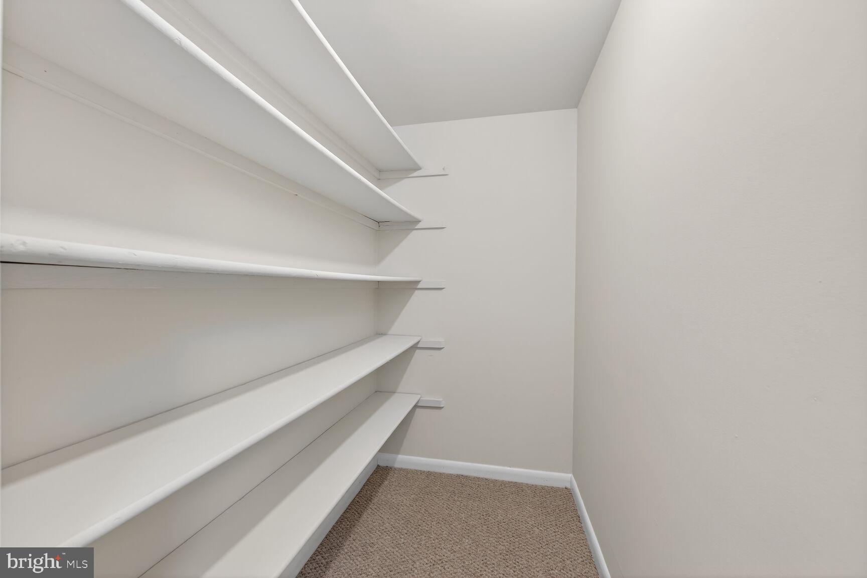 1407 Northgate Square, Unit 7/2C Reston, VA 20190 - Photo 17 of 47 Closet
