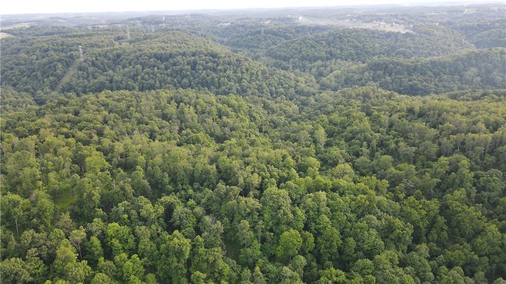 0 Fallen Timber Road Avella, PA 15312 - Photo 11 of 18