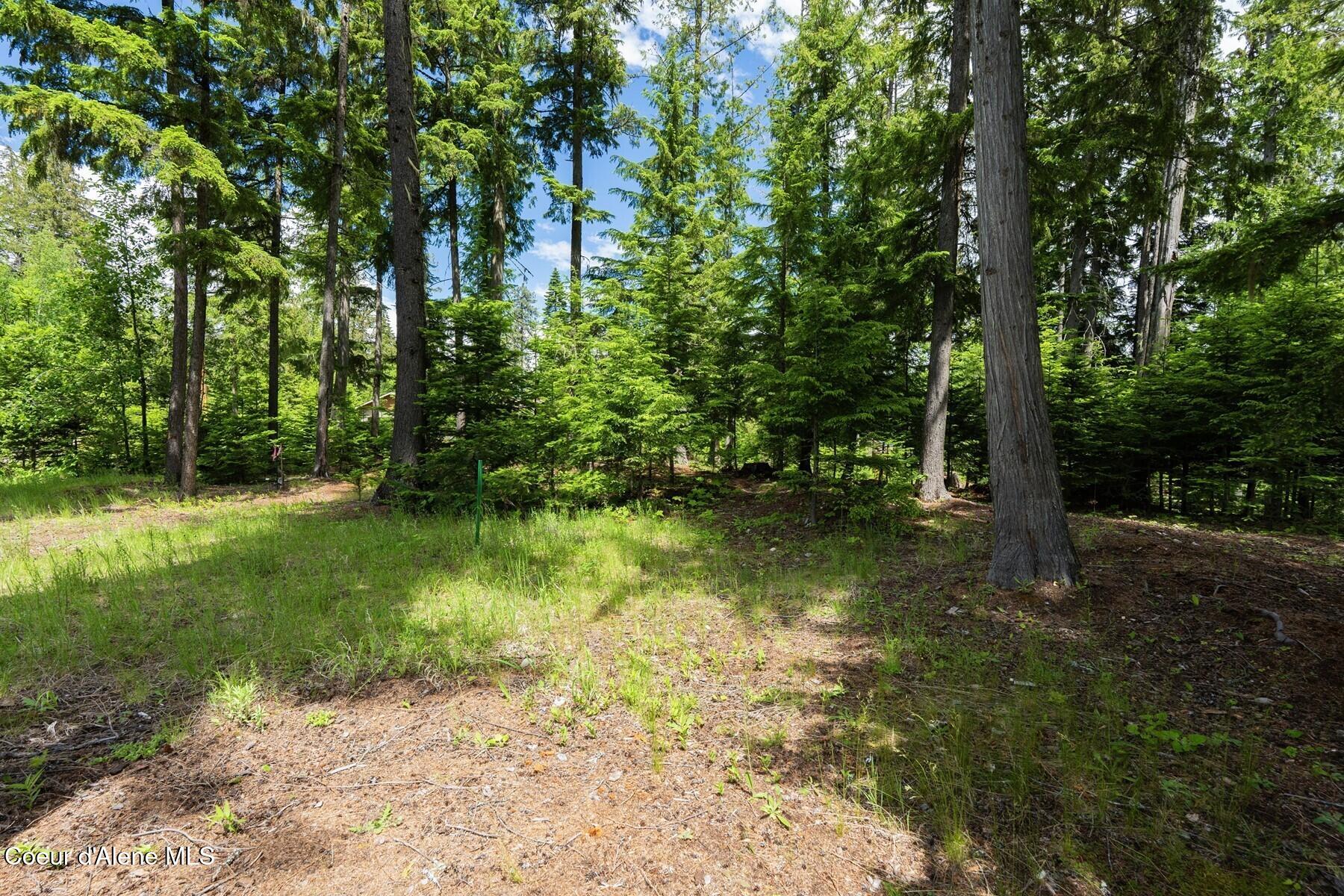 Lot 29 Bruin Road Nordman, ID 83848 - Photo 4 of 44 A Lake Getaway