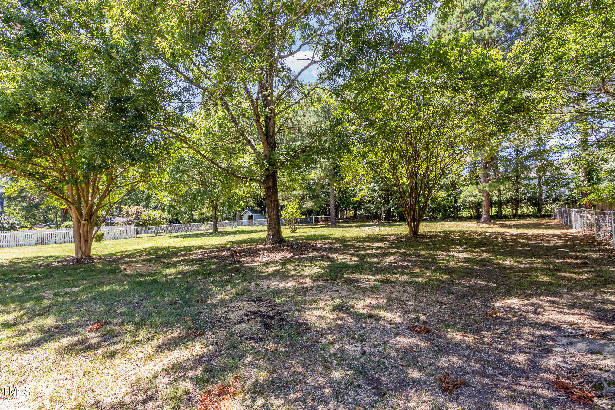 2008 Umstead Road Durham, NC 27712 - Photo 32 of 34 a view of dirt yard with a tree