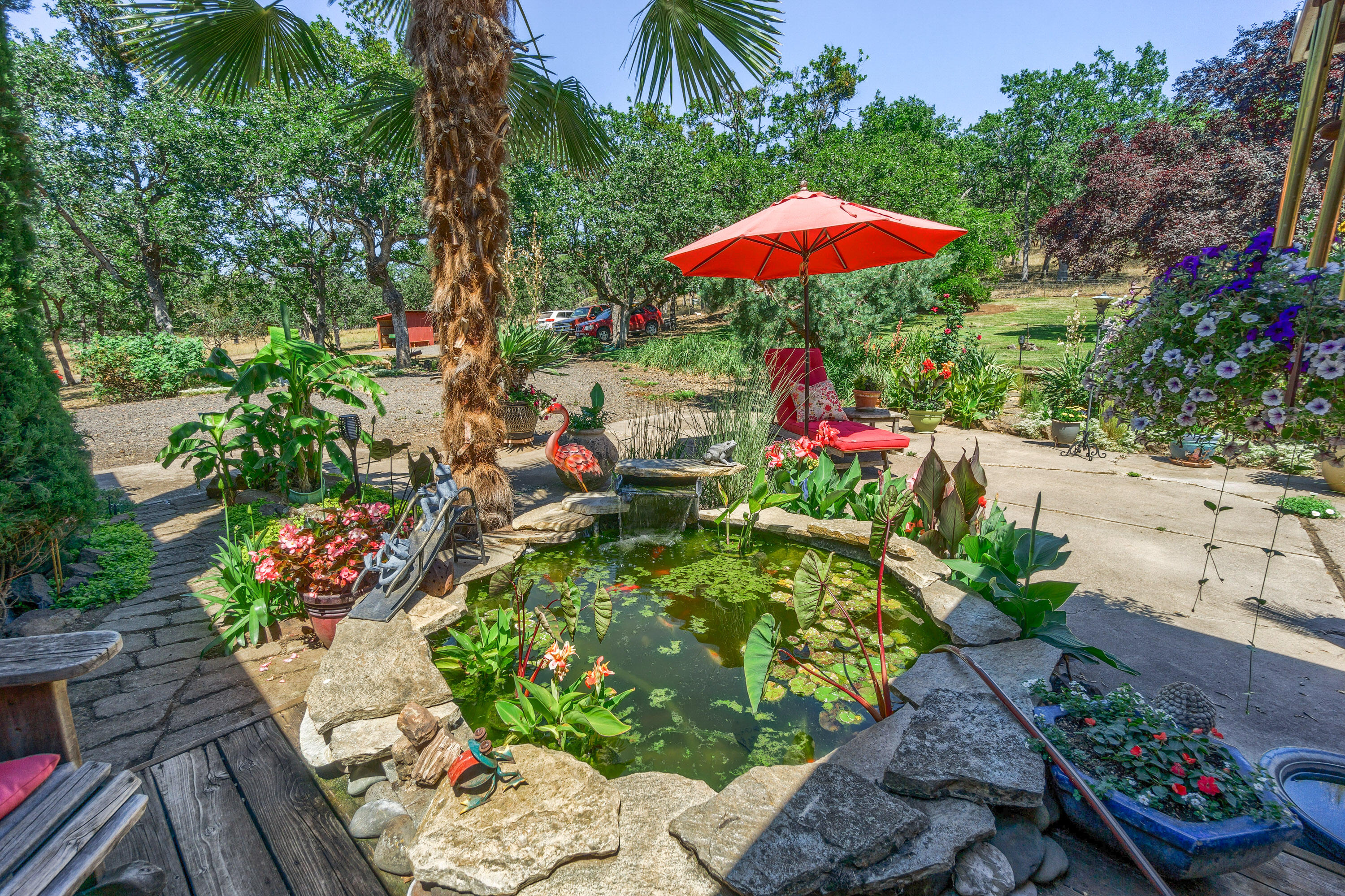 3000 Meridian Road Eagle Point, OR 97524 - Photo 18 of 53 a view of a backyard with plants and a lawn chairs under an umbrella